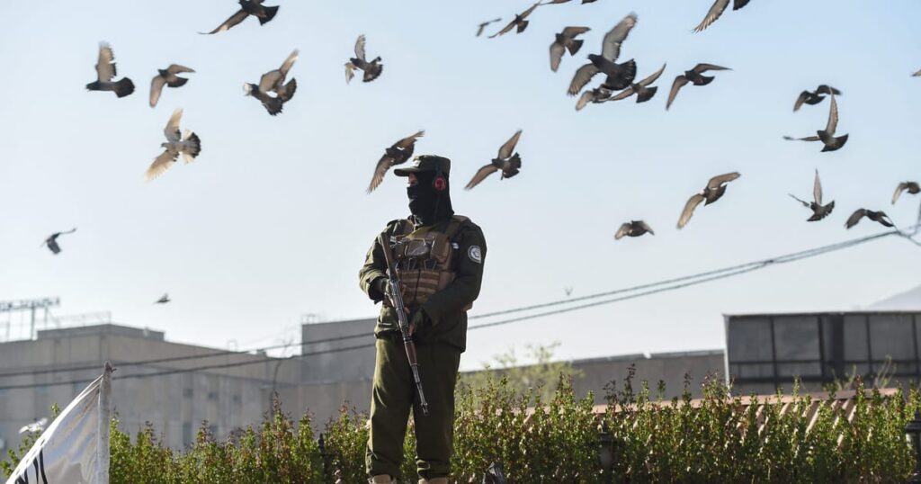 Россия официально приступила к легализации Талибана Россия официально приступила к легализации Талибана