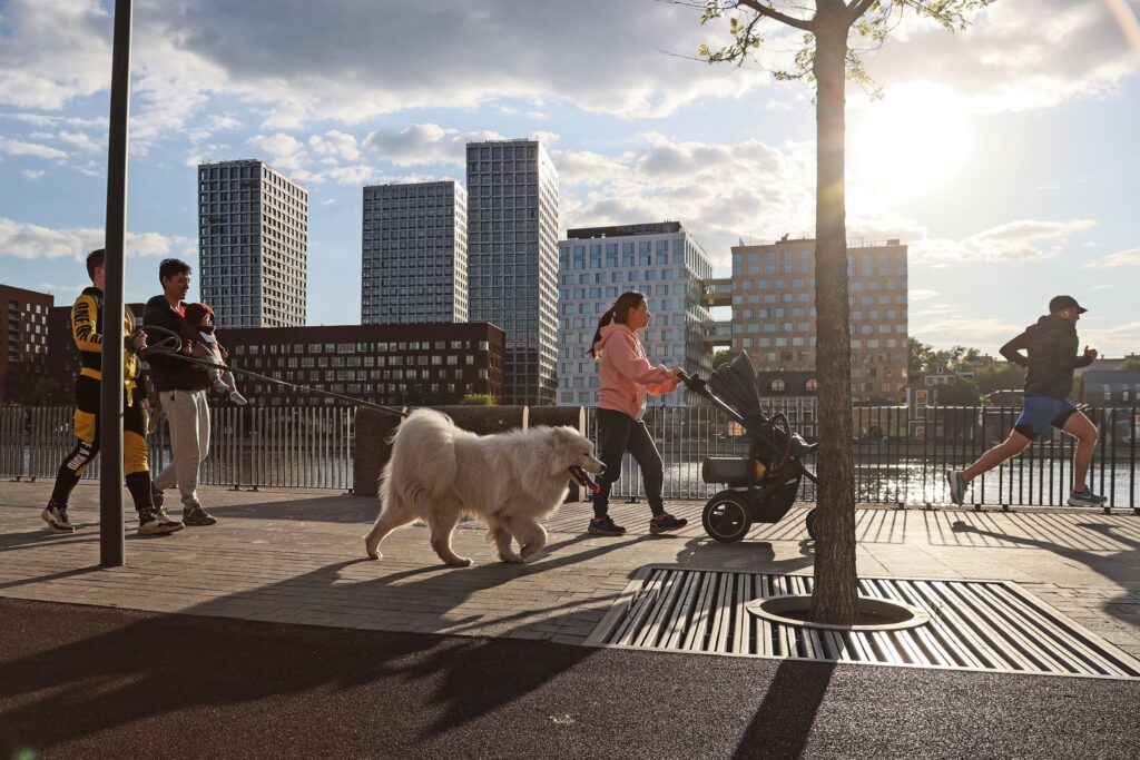 Началось голосование за благоустройство территорий Началось голосование за благоустройство территорий