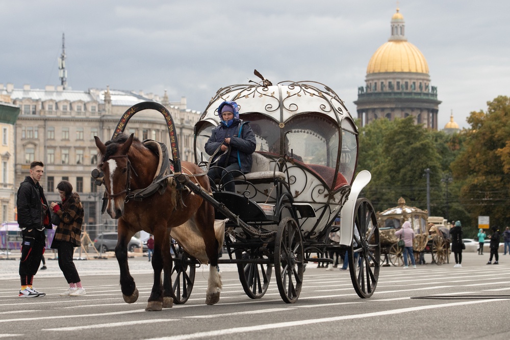 Страдают туристы и лошади: В Петербурге решили регулировать “каретный бизнес” Страдают туристы и лошади: В Петербурге решили регулировать “каретный бизнес”