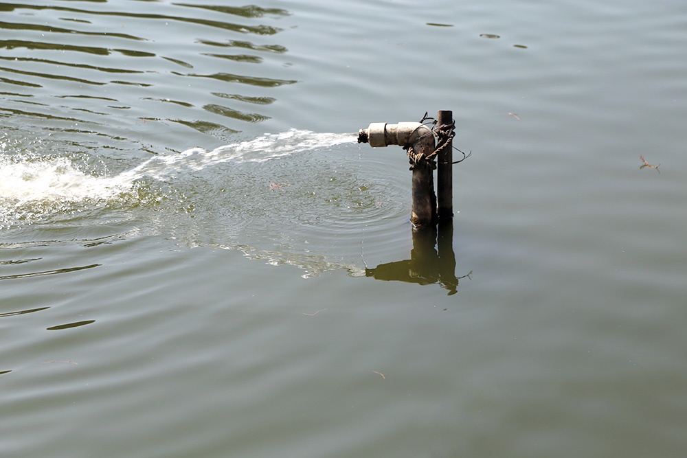 СП отметила ухудшение состояния воды и водных сооружений на Дальнем Востоке СП отметила ухудшение состояния воды и водных сооружений на Дальнем Востоке