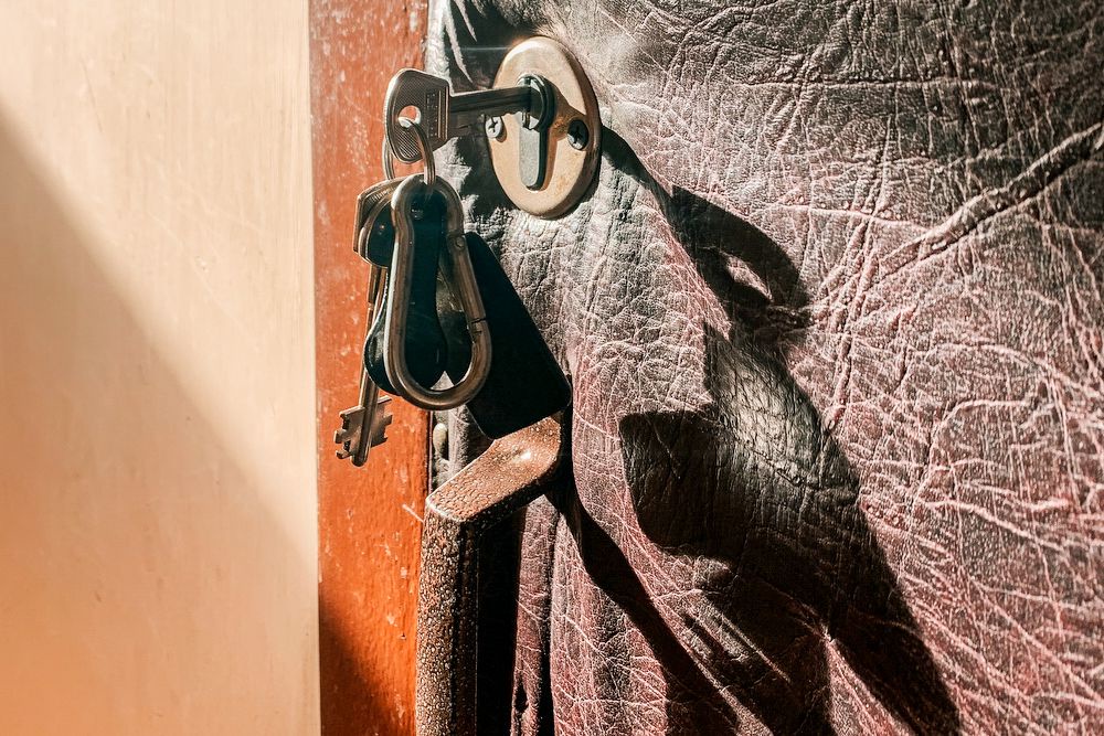 Проблемы с арендой жилья у владельцев домашних животных – это уже миф? Проверили на себе Проблемы с арендой жилья у владельцев домашних животных – это уже миф? Проверили на себе