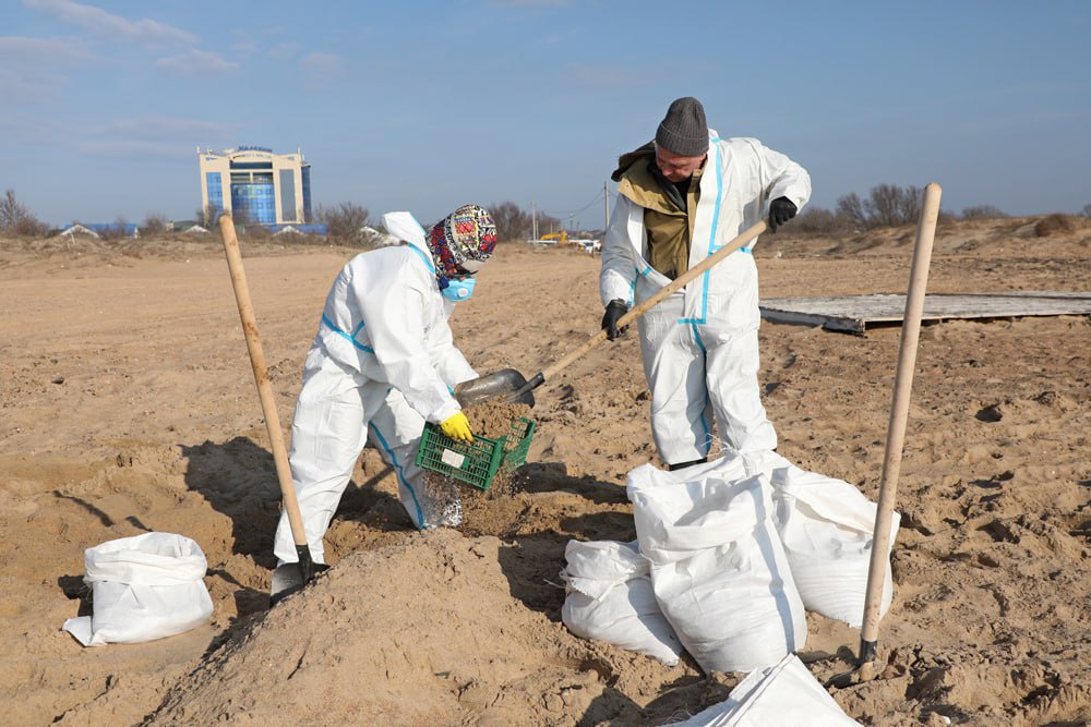 Оперштаб: Очистку пляжей Анапы продолжат до соответствия санитарным нормам Оперштаб: Очистку пляжей Анапы продолжат до соответствия санитарным нормам