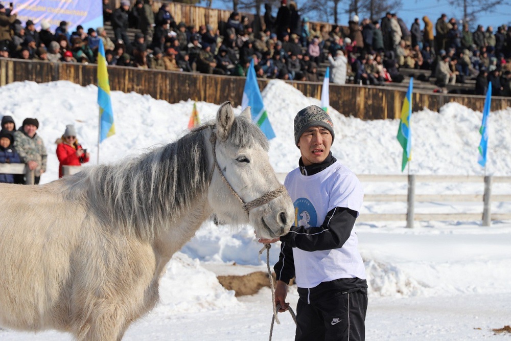 На развитие коневодства в Якутии в этом году направят более 660 миллионов рублей На развитие коневодства в Якутии в этом году направят более 660 миллионов рублей
