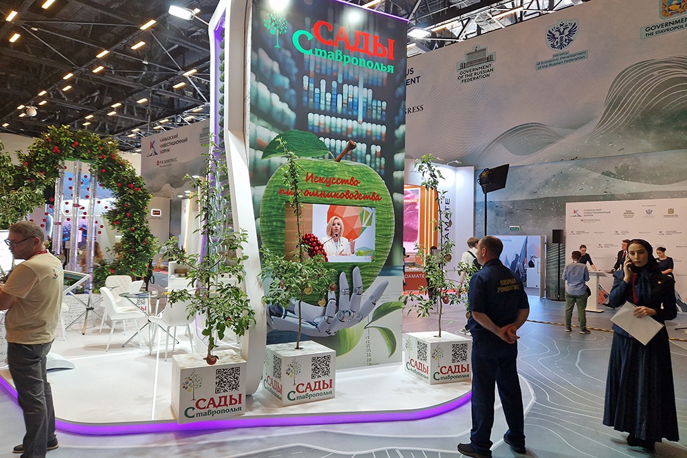 За пять лет регионы СКФО увеличат производство фруктов и ягод на 125 тысяч тонн За пять лет регионы СКФО увеличат производство фруктов и ягод на 125 тысяч тонн