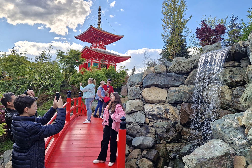 Япония в миниатюре, огненное дерево и древняя араукария: чем удивит гостей парк “Краснодар” Япония в миниатюре, огненное дерево и древняя араукария: чем удивит гостей парк “Краснодар”