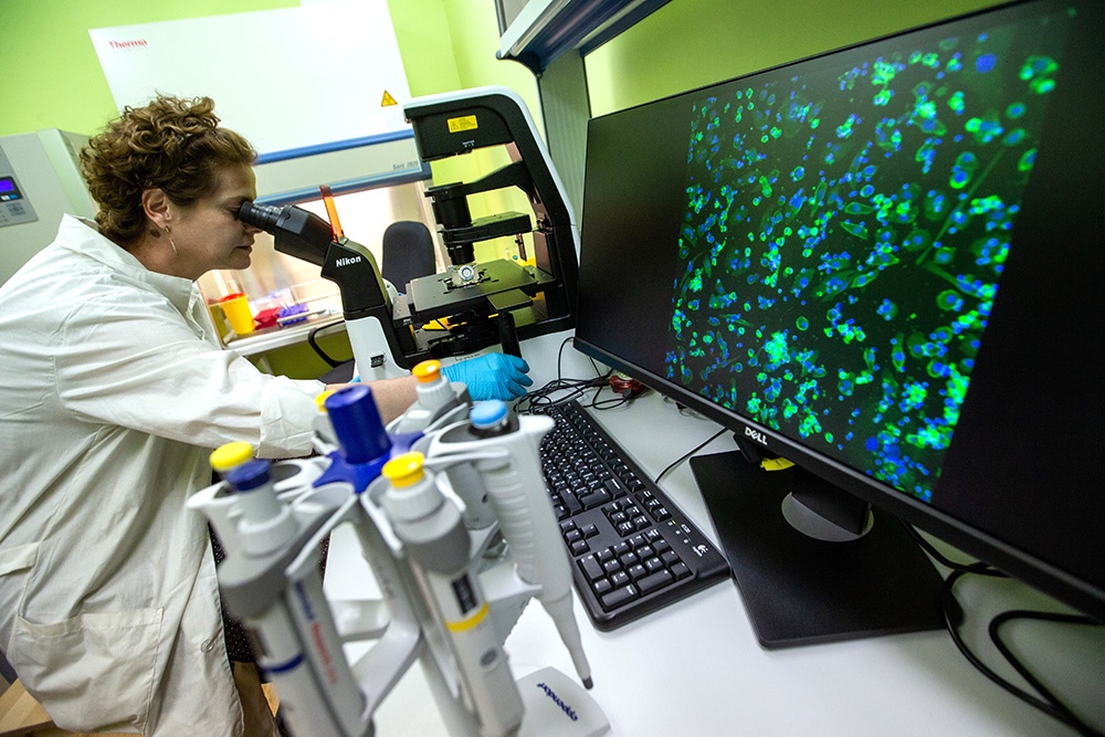 Стереотипы практики и мышления мешают создавать инновационные лекарства Стереотипы практики и мышления мешают создавать инновационные лекарства