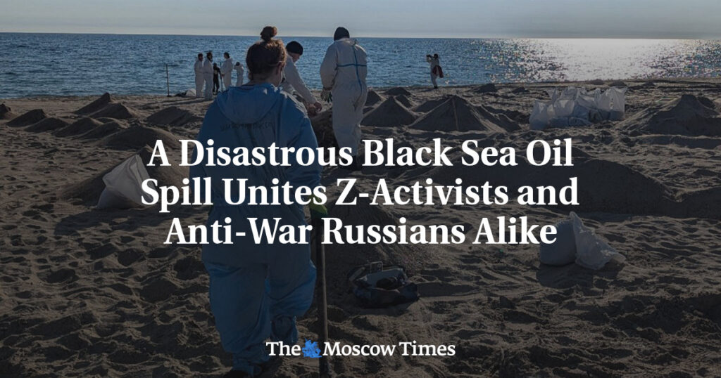 Катастрофическая утечка нефти в Черном море объединила Z-активистов и антивоенных россиян Катастрофическая утечка нефти в Черном море объединила Z-активистов и антивоенных россиян
