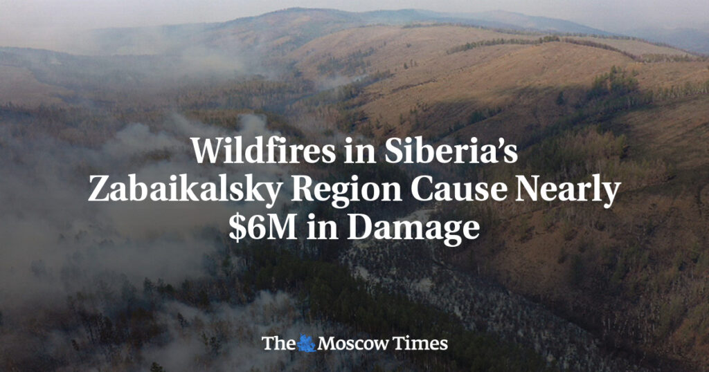Лесные пожары в Забайкалье нанесли ущерб почти на 6 миллионов долларов Лесные пожары в Забайкалье нанесли ущерб почти на 6 миллионов долларов