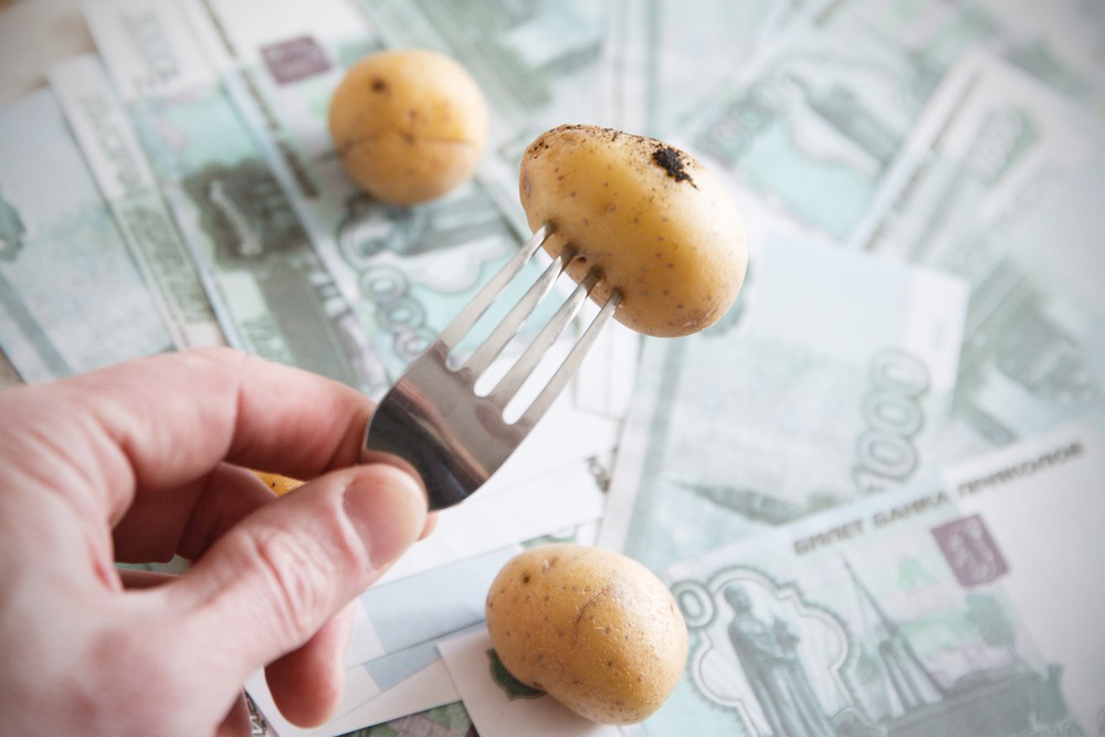 Южный картофель нового урожая снизит розничные цены Южный картофель нового урожая снизит розничные цены