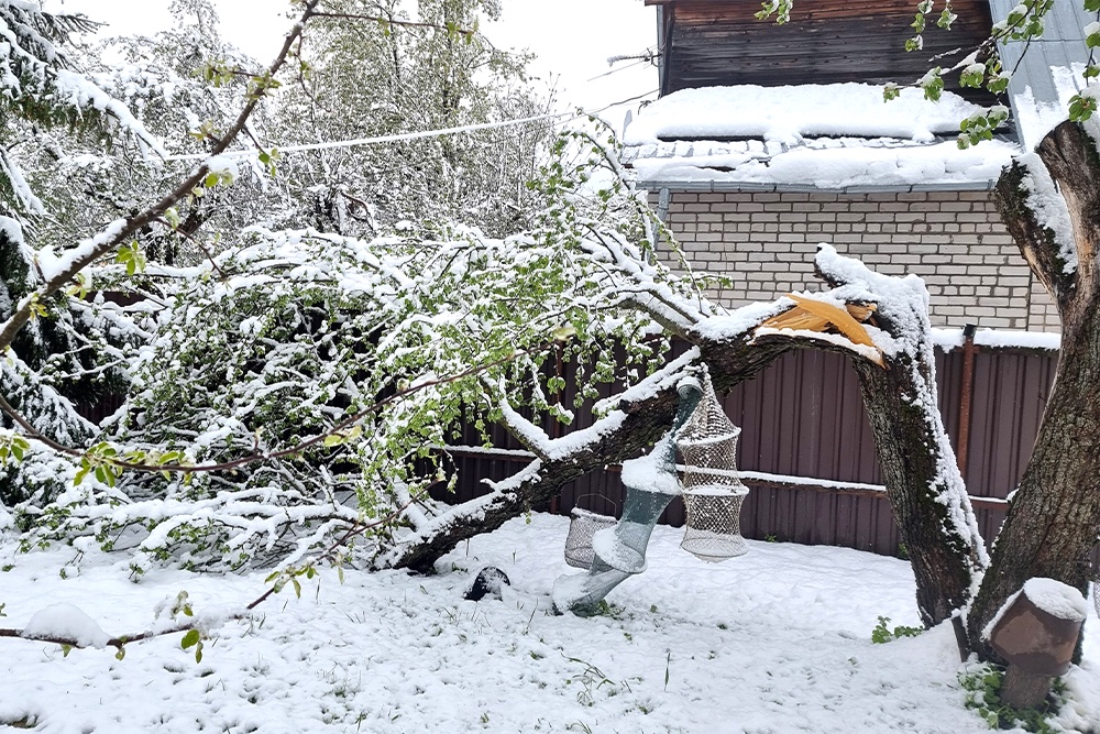 Как Подмосковье пережило первомайский блэкаут Как Подмосковье пережило первомайский блэкаут