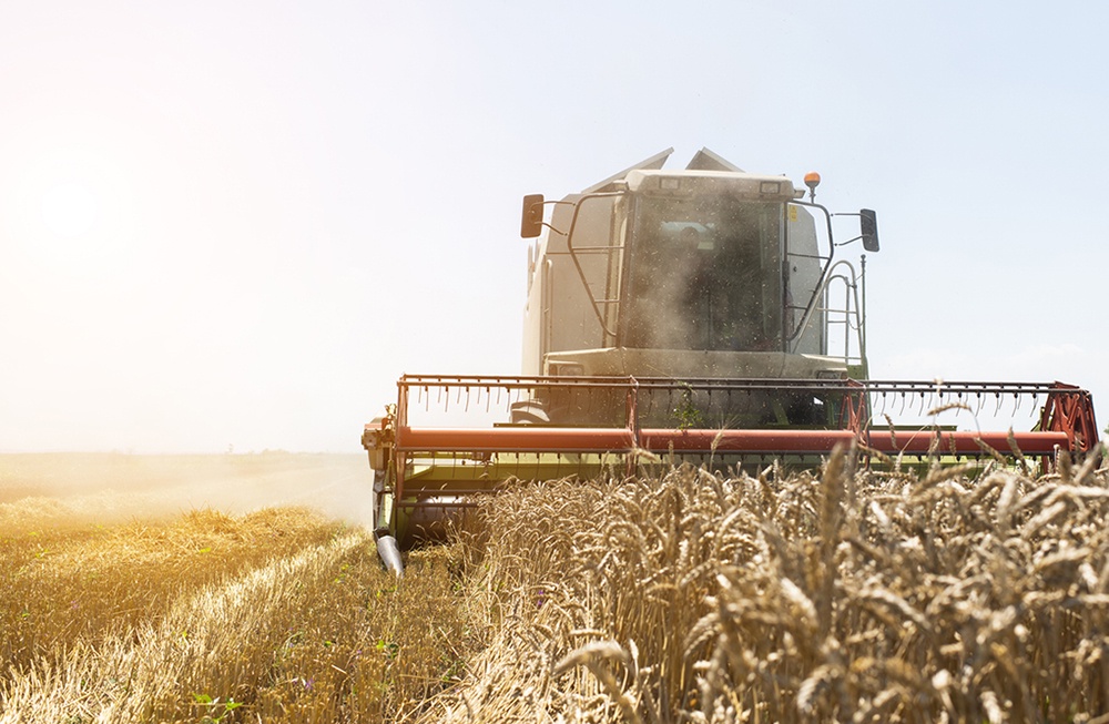 Урожай зерна в этом агросезоне может вырасти до 138 млн тонн Урожай зерна в этом агросезоне может вырасти до 138 млн тонн