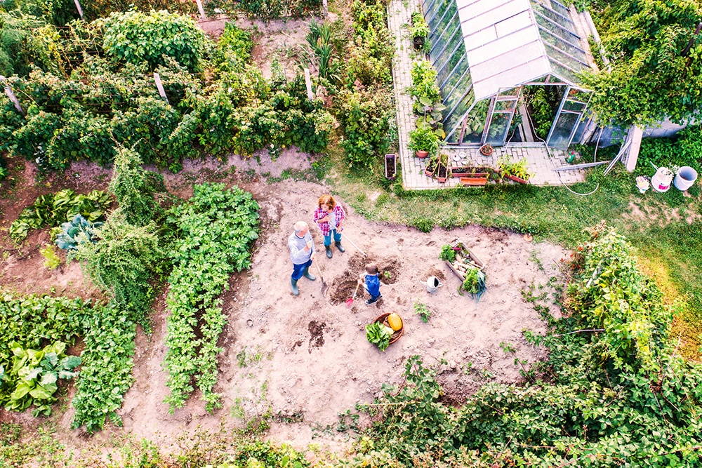 Как многодетным получить земельный участок бесплатно в 2025: инструкция Как многодетным получить земельный участок бесплатно в 2025: инструкция