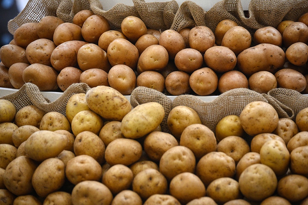 Китай впервые за шесть лет вошел в тройку главных поставщиков картофеля в РФ Китай впервые за шесть лет вошел в тройку главных поставщиков картофеля в РФ