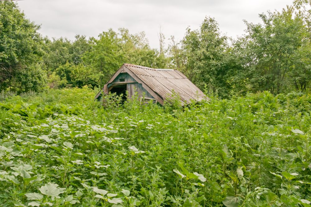 Юрист Хаминский: Захламление считается признаком неиспользования участка Юрист Хаминский: Захламление считается признаком неиспользования участка