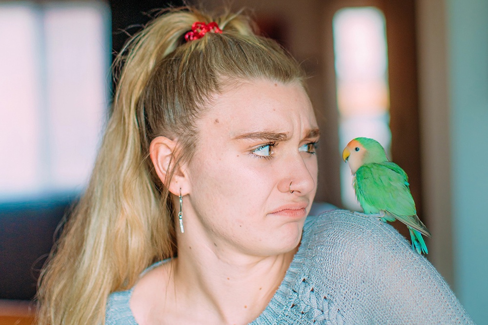 Россияне стали чаще страховать домашних питомцев Россияне стали чаще страховать домашних питомцев