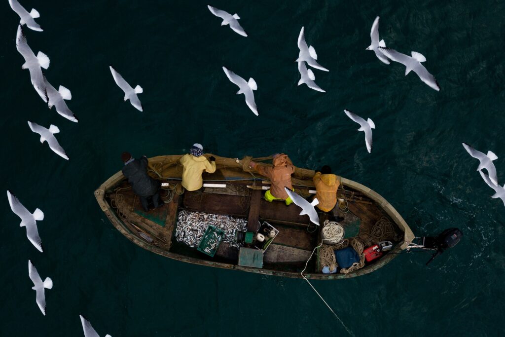 Рыбаки смогут перезаключить договоры на рыболовные участки на 20 лет без торгов Рыбаки смогут перезаключить договоры на рыболовные участки на 20 лет без торгов