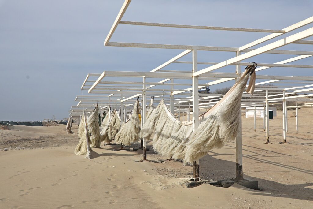 В Роспотребнадзоре уточнили, где на Черном Море разрешено купаться и загорать В Роспотребнадзоре уточнили, где на Черном Море разрешено купаться и загорать