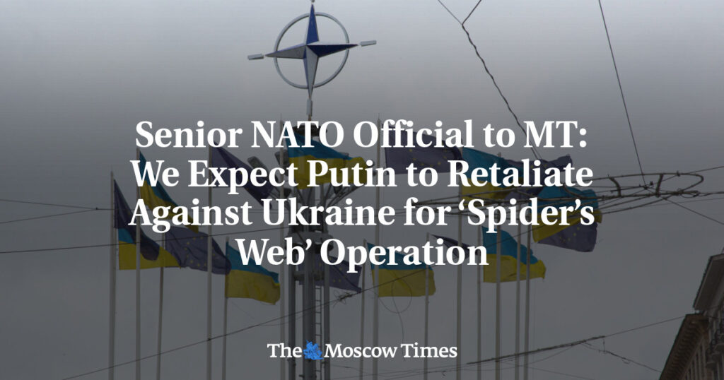 Высокопоставленный представитель НАТО MT: Мы ожидаем ответных действий Путина против Украины за операцию «Паутина» Высокопоставленный представитель НАТО MT: Мы ожидаем ответных действий Путина против Украины за операцию «Паутина»