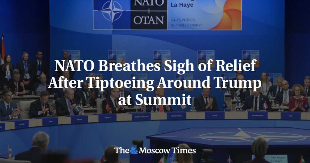 НАТО с облегчением вздохнул после осторожного поведения вокруг Трампа на саммите НАТО с облегчением вздохнул после осторожного поведения вокруг Трампа на саммите