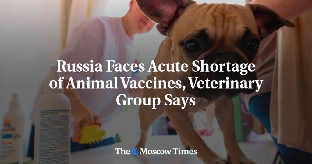 В России острый дефицит вакцин для животных, сообщает ветеринарная группа