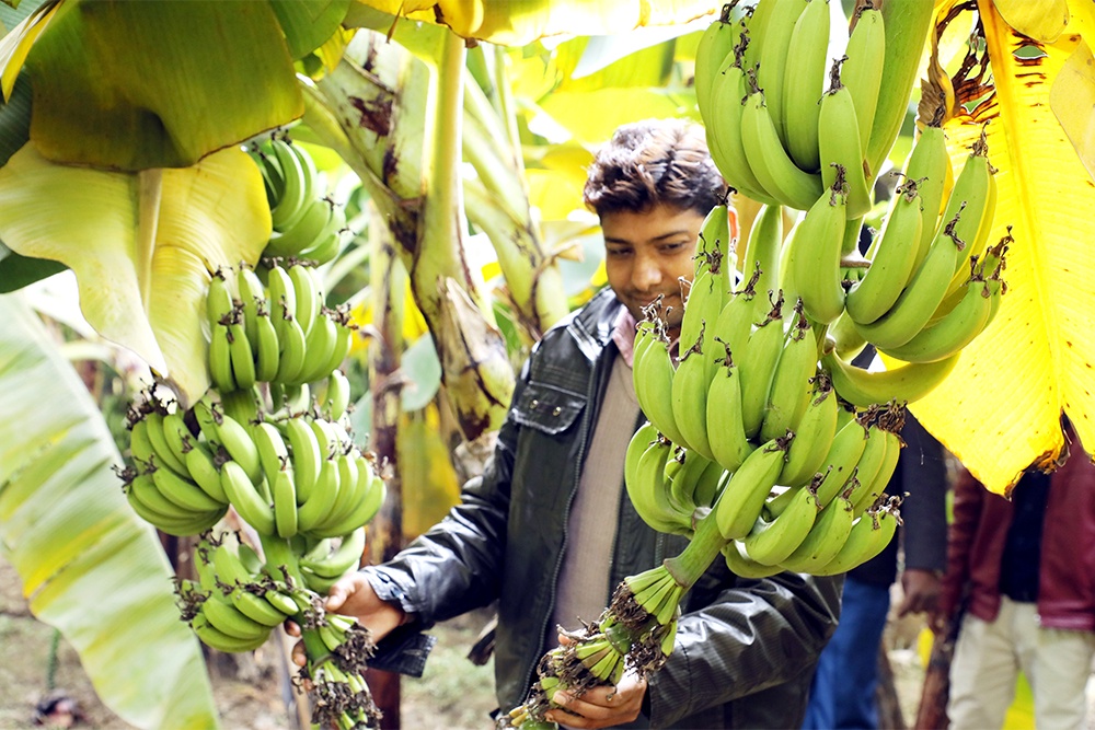 Порт Махачкалы стал связующим звеном между Россией и Ираном Порт Махачкалы стал связующим звеном между Россией и Ираном