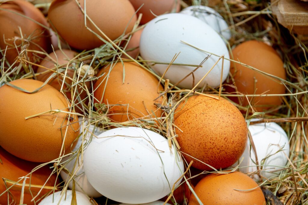 Эксперты пояснили, почему цены на яйца опустились ниже 40 рублей за десяток Эксперты пояснили, почему цены на яйца опустились ниже 40 рублей за десяток