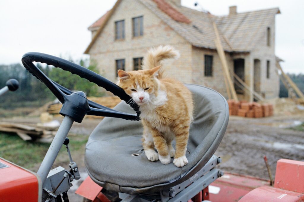 Программа развития сельских территорий уже коснулась 14 млн жителей Программа развития сельских территорий уже коснулась 14 млн жителей