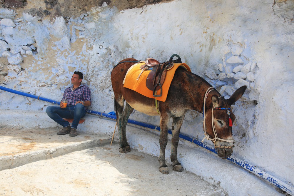 Мошенники предлагают несуществующие туры, путевки и билеты Мошенники предлагают несуществующие туры, путевки и билеты