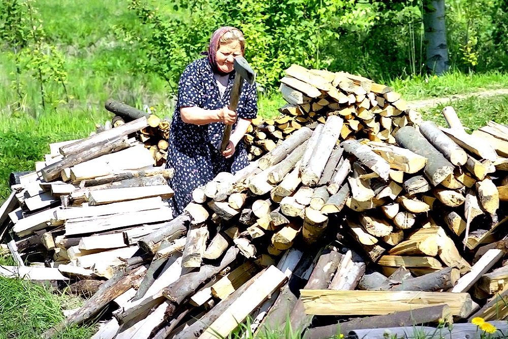 В Омской области остаются заброшенными десятки тысяч дачных участков В Омской области остаются заброшенными десятки тысяч дачных участков