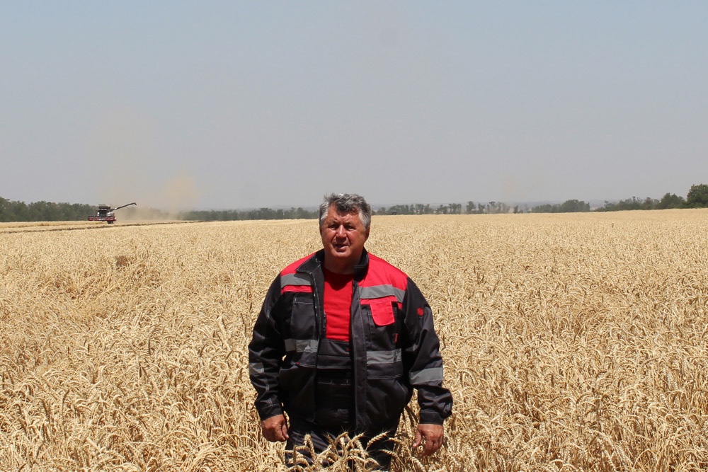 Вместо застолья – на комбайн Вместо застолья – на комбайн