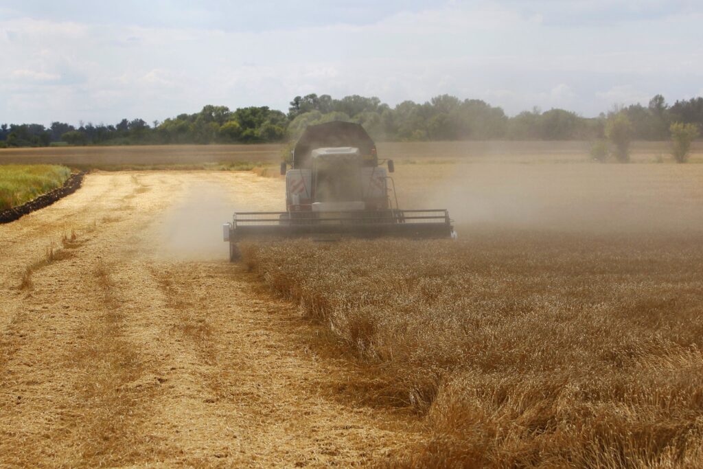 Лут: РФ в 2024/25 сельхозгоду поставила за границу 53 млн тонн зерна Лут: РФ в 2024/25 сельхозгоду поставила за границу 53 млн тонн зерна