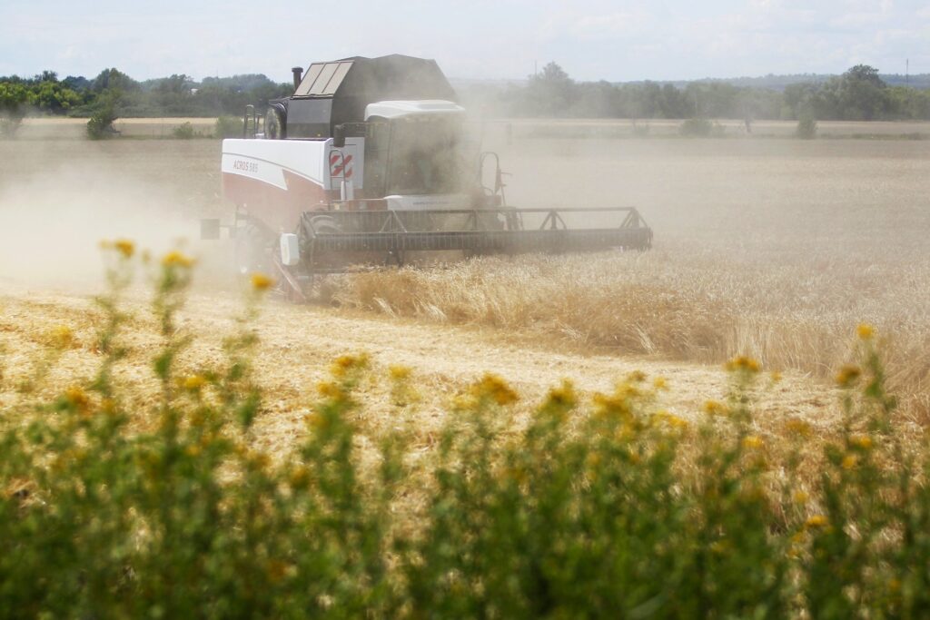 Экспорт зерна в прошлом сезоне оказался пятым результатом в истории России