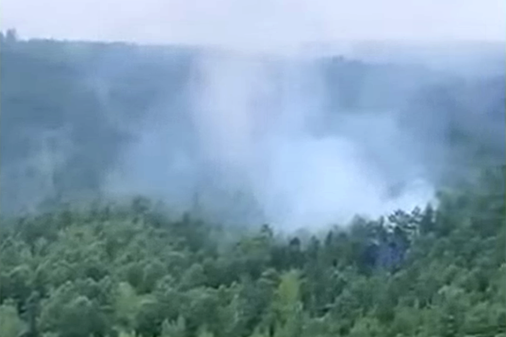 Авиакомпании и аэропорты помогут с перевозкой близких погибших в крушении Ан-24 Авиакомпании и аэропорты помогут с перевозкой близких погибших в крушении Ан-24