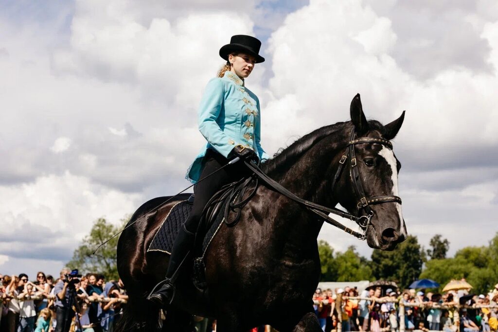 Конное шоу и концерт “Родной речи”: Что ждет туристов на родине владимирского тяжеловоза Конное шоу и концерт “Родной речи”: Что ждет туристов на родине владимирского тяжеловоза