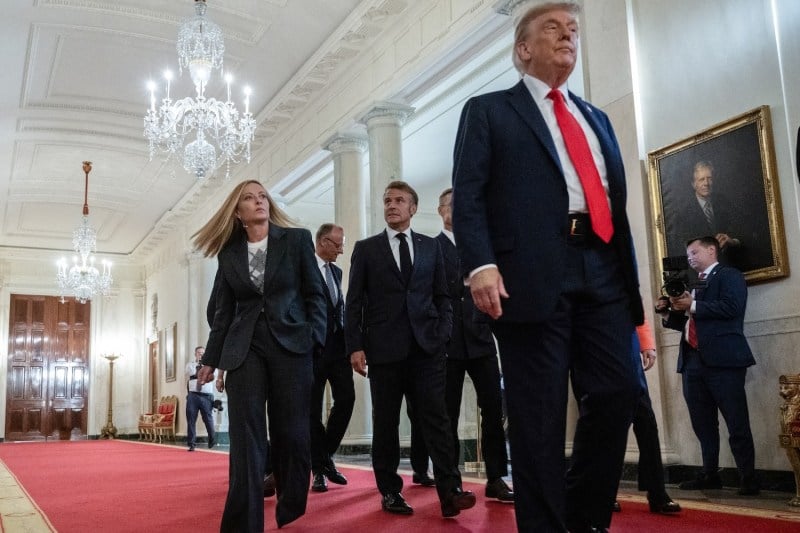 Чего добились саммиты Трампа с Путиным и Зеленским? Чего добились саммиты Трампа с Путиным и Зеленским?