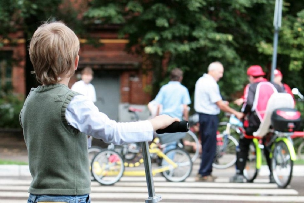 В ингушских школах организуют занятия по безопасности на дорогах. В ингушских школах организуют занятия по безопасности на дорогах.