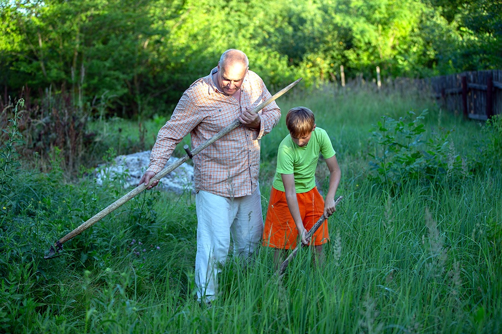 Дачникам грозят крупные штрафы за заросшие участки – Российская газета. Дачникам грозят крупные штрафы за заросшие участки – Российская газета.