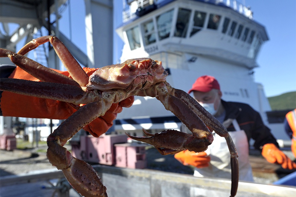 В России разрабатывают серию уникальных судов для ловли крабов в Арктике. В России разрабатывают серию уникальных судов для ловли крабов в Арктике.