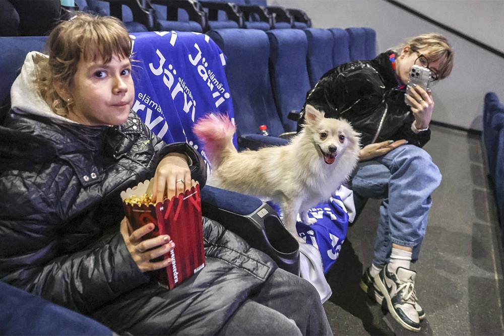 В Москве начал работу кинотеатр для посетителей с собаками. В Москве начал работу кинотеатр для посетителей с собаками.