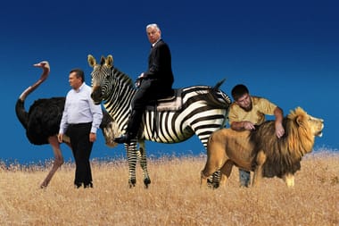 Европейский союз и Россия участвуют в выборах, определяющих судьбу Молдовы. Европейский союз и Россия участвуют в выборах, определяющих судьбу Молдовы.