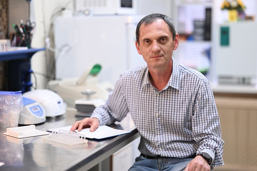 Российские ученые исследовали распространение ранавируса у зеленых лягушек. Российские ученые исследовали распространение ранавируса у зеленых лягушек.