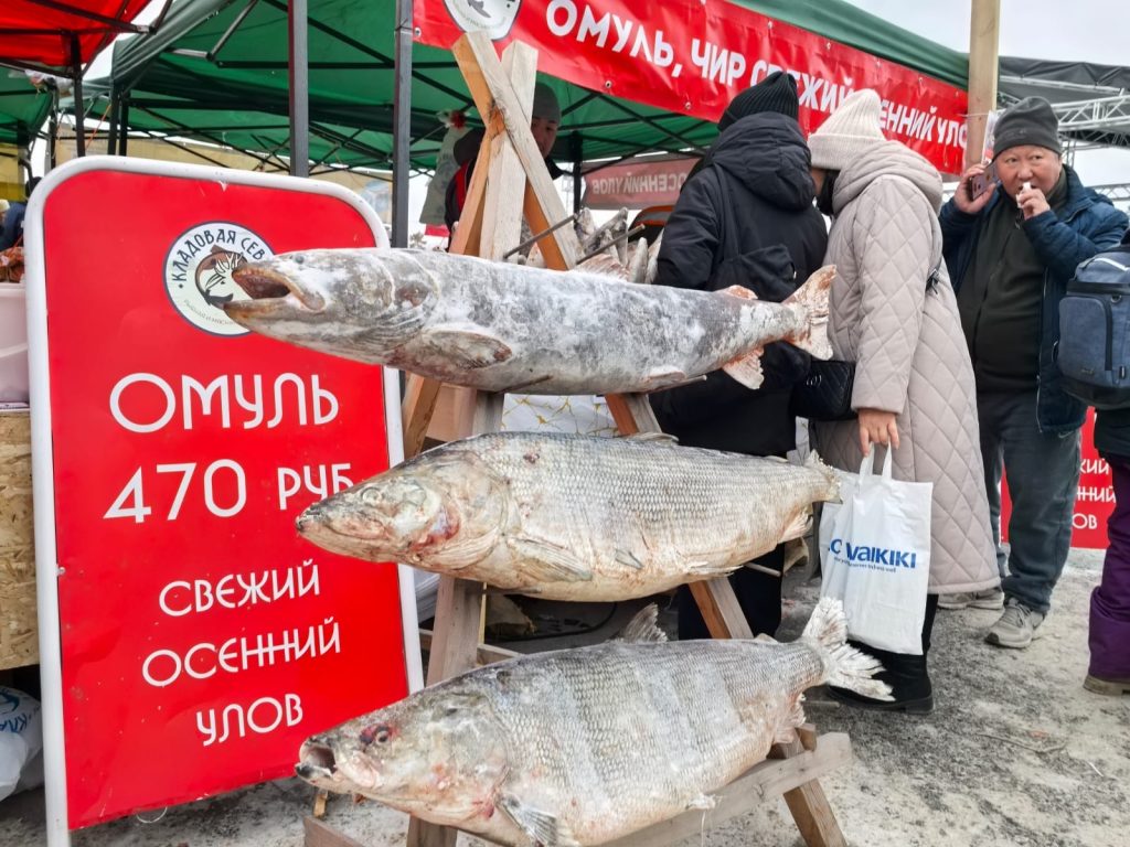 Рыболовецкие хозяйства из 5 улусов выставили продукцию на ярмарке “Рыба Якутии” Рыболовецкие хозяйства из 5 улусов выставили продукцию на ярмарке “Рыба Якутии”
