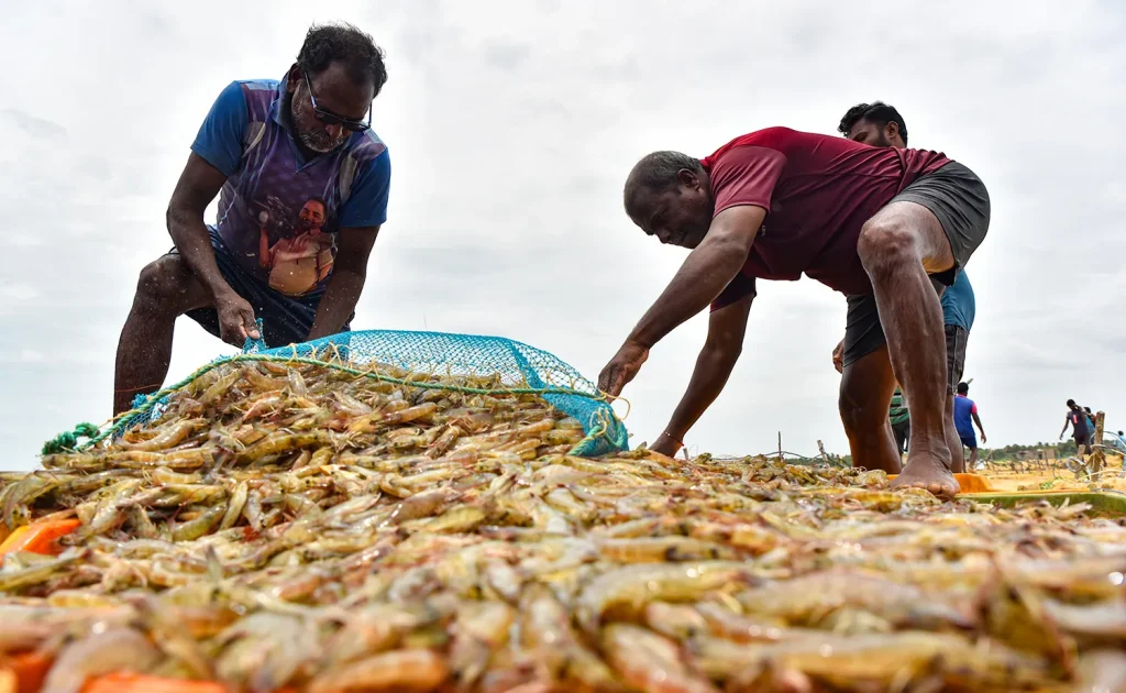 Смертельные ландшафтные дизайнеры Трампа Смертельные ландшафтные дизайнеры Трампа