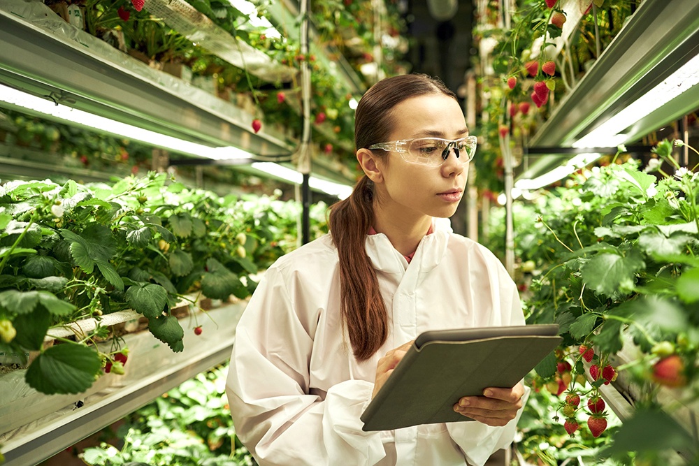 Молодые агрономы и ветеринары могут освоить профессию в сфере ИТ – Российская газета. Молодые агрономы и ветеринары могут освоить профессию в сфере ИТ – Российская газета.