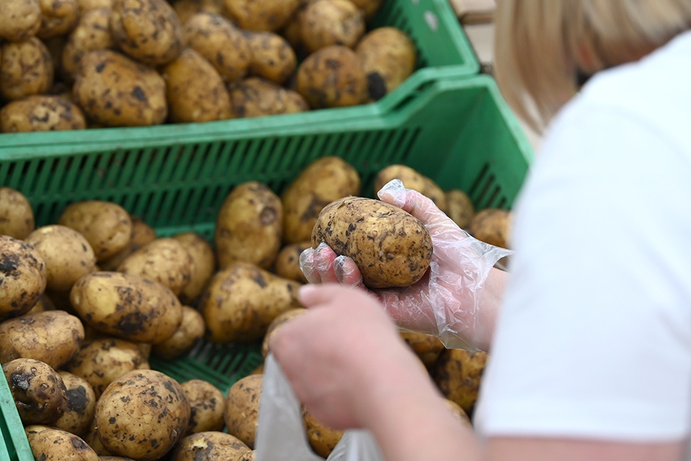 Урожай некоторых культур будет рекордным: В России завершается уборочная кампания Урожай некоторых культур будет рекордным: В России завершается уборочная кампания