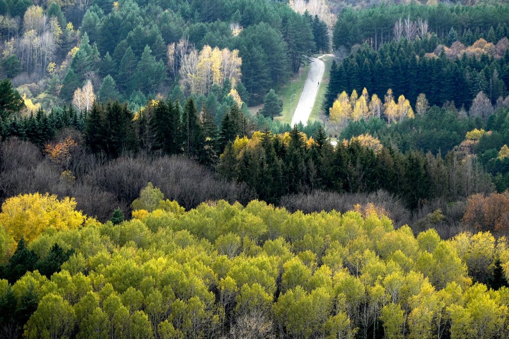 Автопутешествия по России: лучшие маршруты и красивые места для поездки на машине