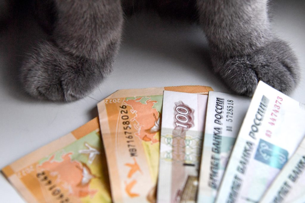 Россияне увеличили траты на корма для домашних животных. Россияне увеличили траты на корма для домашних животных.