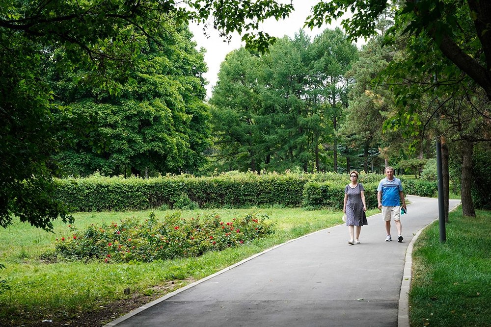 Фонтаны, зелень и освещение: Чего не хватает жителям городов при благоустройстве территорий? Фонтаны, зелень и освещение: Чего не хватает жителям городов при благоустройстве территорий?