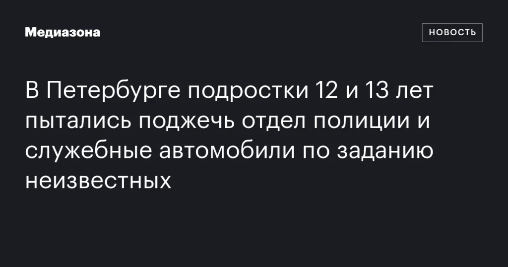 В Петербурге задержаны подростки за попытку поджога отдела полиции и автомобилей по указанию неизвестных В Петербурге задержаны подростки за попытку поджога отдела полиции и автомобилей по указанию неизвестных