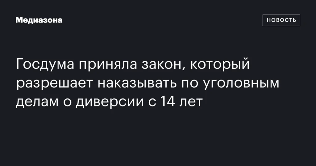 Госдума утвердила закон о привлечении к уголовной ответственности за диверсии с 14 лет